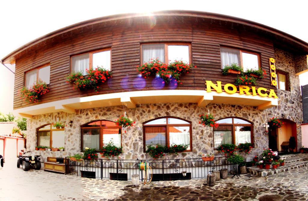 Pensiunea Norica Gura Raului Bagian luar foto